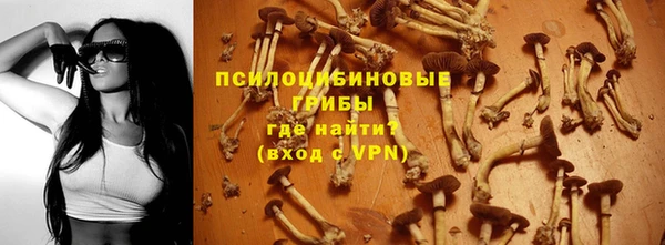 2c-b Аркадак