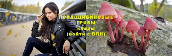 а пвп мука Армянск