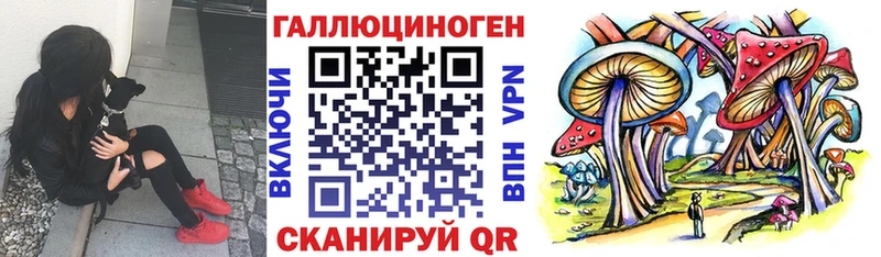 Псилоцибиновые грибы мухоморы Полысаево